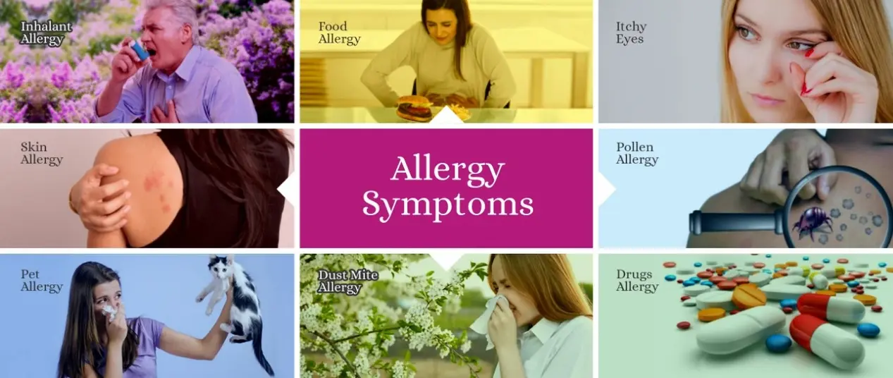 Inhalant Allergy Test & Diagnosis | Pet Allergy Test & Diagnosis | Pollen Allergy Test & Diagnosis | Food Allergy Test & Diagnosis | Itchy Eyes Test & Diagnosis | Drugs Allergy Test & Diagnosis | Dust Mite allergy Test & Diagnosis | Skin Allergy Test & Diagnosis | Jerath Pathlab | Jerathpath | Jerath Path